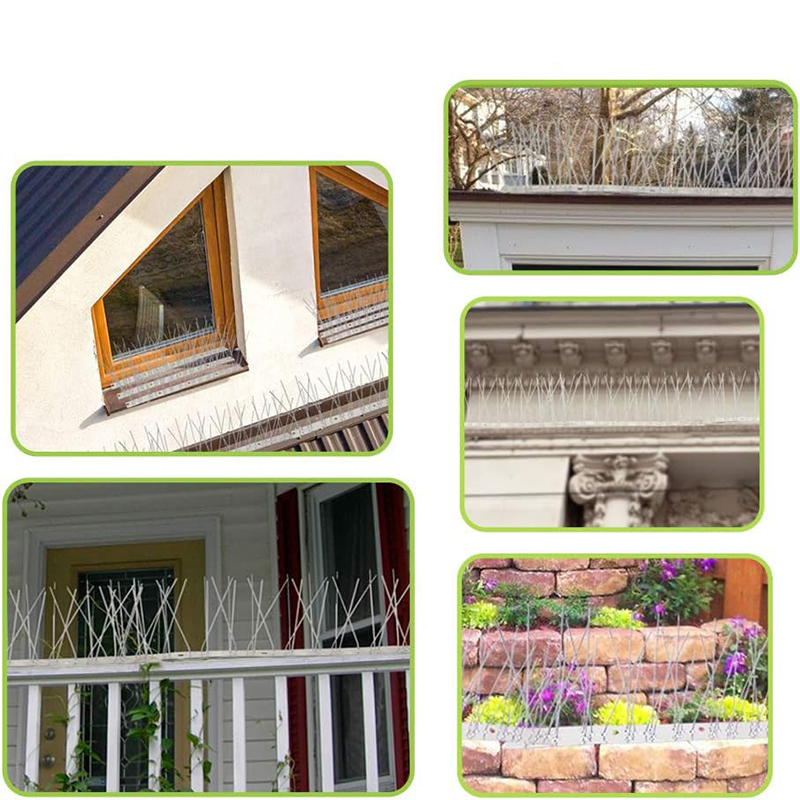 Stainless Steel Bird Spikes 2P - Smart Garden Fence review and price