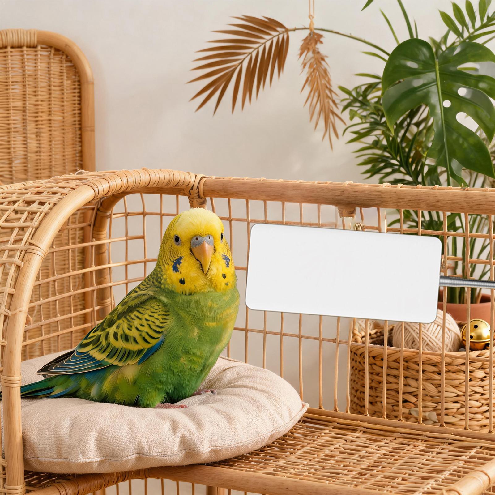 Pet Heater 5V Safe Pet Winter  - Smart Garden Bird Bath review and price
