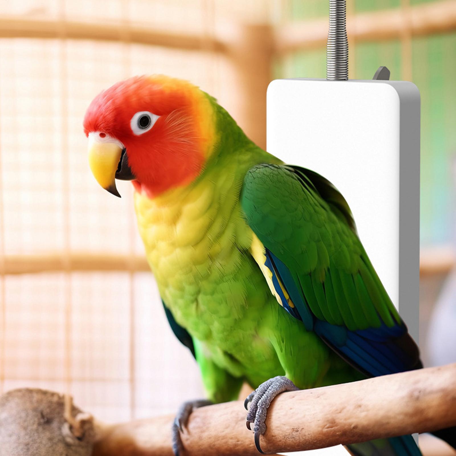 Pet Heater 5V Safe Pet Winter  - Smart Garden Bird Bath review and price