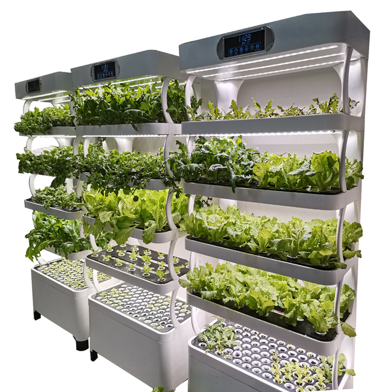Indoor Smart Low Cost Hydropon - Smart Garden Indoor review and price