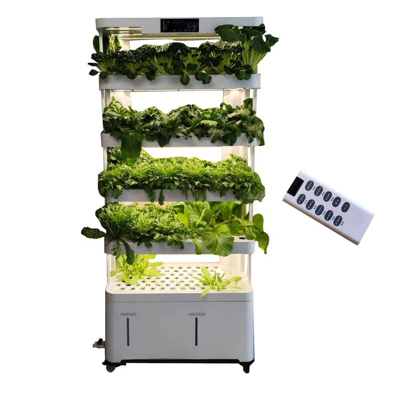 Indoor Smart Low Cost Hydropon - Smart Garden Indoor review and price