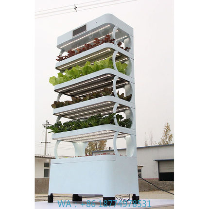 arming Home Hydroponic Growing - Smart Garden Indoor review and price