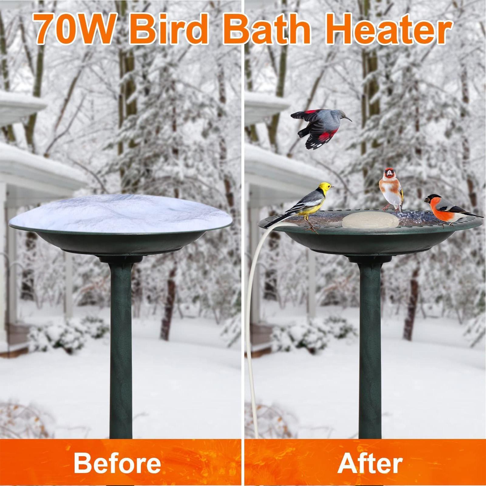 Bird Bath Heater For Outdoors  - Smart Garden Bird Bath review and price