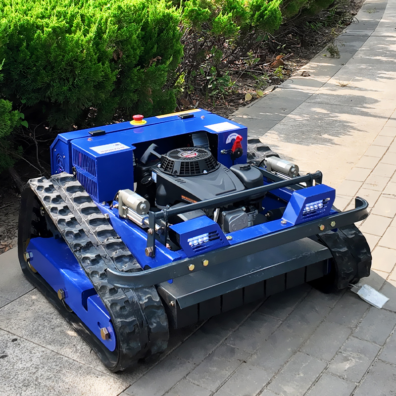 Customized Remote Control Lawn - Smart Garden Robot review and price