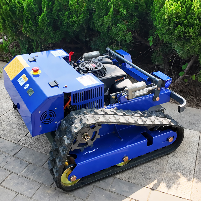 Customized Remote Control Lawn - Smart Garden Robot review and price