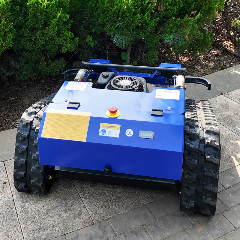 Customized Remote Control Lawn - Smart Garden Robot review and price