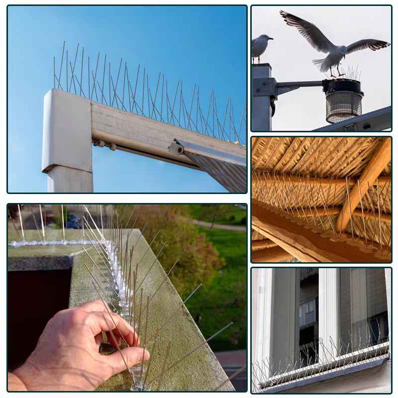 10/1x Pigeon Spikes Deterrent  - Smart Garden Fence review and price